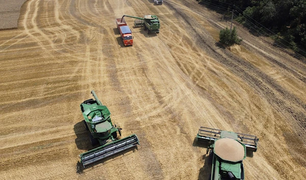 Farmers harvest with their combines in a wheat field near the village Tbilisskaya, Russia, Wednesday, July 21, 2021 (AP Photo/Vitaly Timkiv)