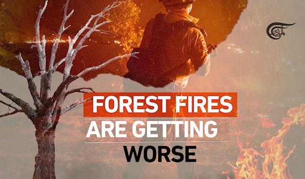 Forest fires are getting worse