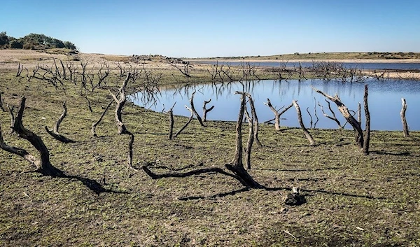 A river dried up in Yorkshire, UK (Getty)