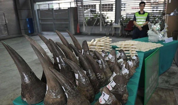 Rhino poaching, horn trade declining amid unchanged threat status