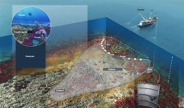 How bottom trawling works (Oceana Europe)