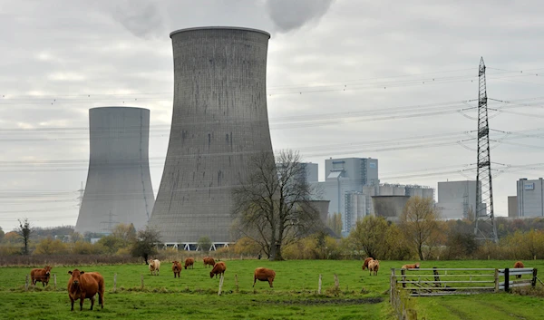 In this Nov. 14, 2013 file photo cows are standing in front of the latest coal-fired power station of German power provider RWE in Hamm, Germany (AP Photo/Martin Meissner, File)