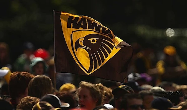 Hawthorn Football Club flag.