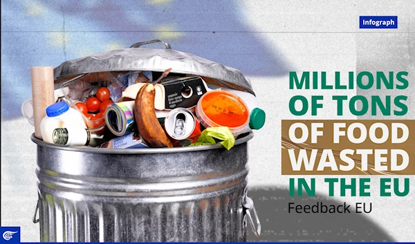 Millions of tons of food wasted in the EU