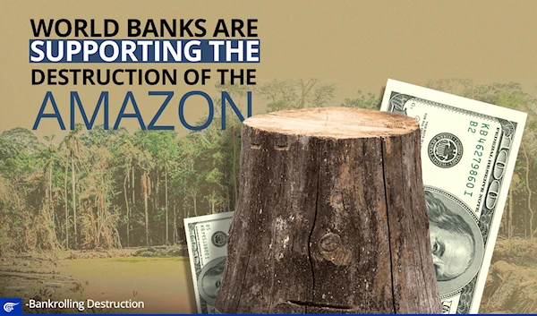 World banks are supporting the destruction of the Amazon