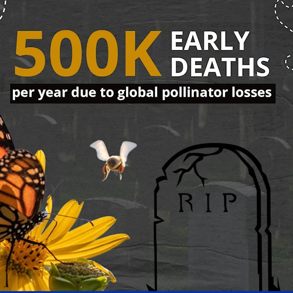 500,000 early deaths per year due to global pollinator losses