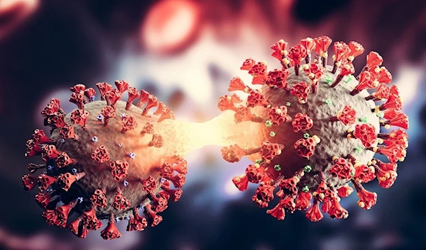 A colorized illustration of the COVID virus (Johns Hopkins School of Public Health)