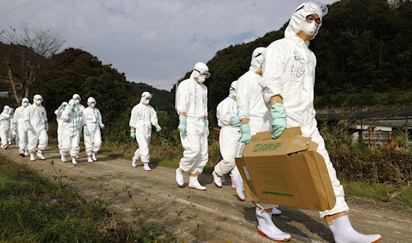 Officials in protective suits head to a poultry farm for a suspected bird flu case in Higashikagawa, western Japan. (REUTERS)