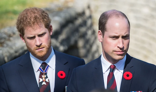 UK Princes Harry and William (Town and Country Magazine)