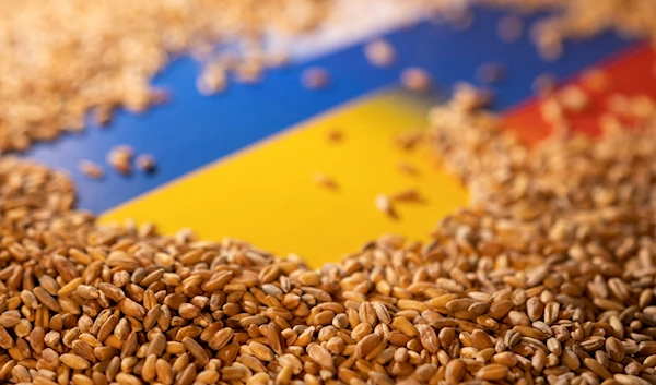 EU might suspend Ukraine tariff exemption over competition complaints