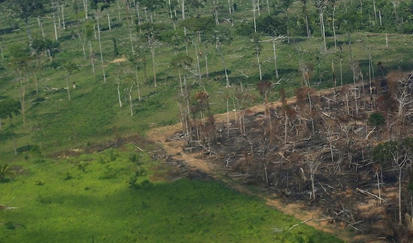 An aerial view shows a deforested plot of the Amazon rainforest in Rondonia State, Brazil September 28, 2021. (REUTERS)