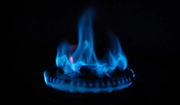 home's gas provider or brand of appliance.Ida Marie Odgaard / Ritzau Scanpix/AFP-Getty Images