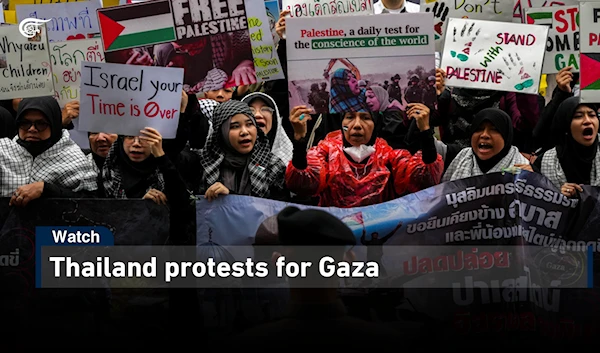 Thailand protests for Gaza