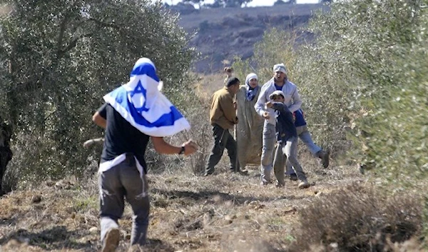 Israeli settler attacking Palestinian farmers harvesting their olive crops. (Wafa news agency)