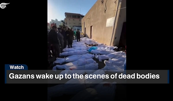 Gazans wake up to the scenes of dead bodies