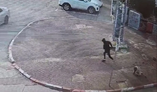 A screen grab from a video which show an Israeli settler stabbing a Palestinian pregnant women to death (Twitter)