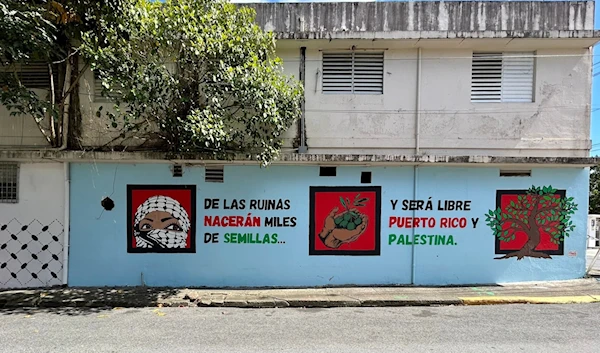 An undated image with text written in Spanish reading Thousands of seeds will born from the ruins... and Puerto Rico and Palestine will be free in Rio Piedras, San Juan. (Social media)