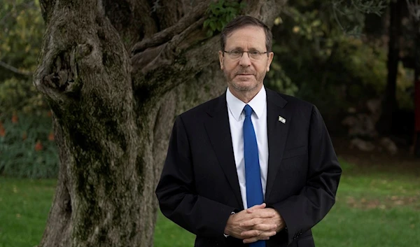 Israeli occupation President Isaac Herzog poses for a portrait in the shade of a Palestinian olive tree on the grounds of his official residence in occupied al-Quds, occupied Palestine, Thursday, Dec. 14, 2023. (AP)