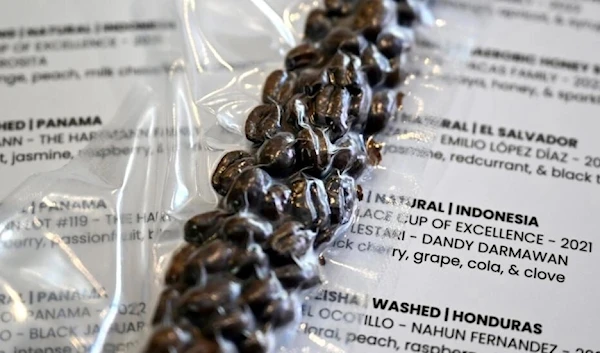 The Proud Mary cafe in Melbourne offered US$140 cups of coffee made from Black Jaguar beans from Panama. (AFP)