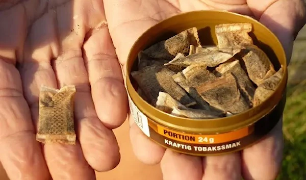 Nicotine snus is a new tobaccoless version of snus (AFP)