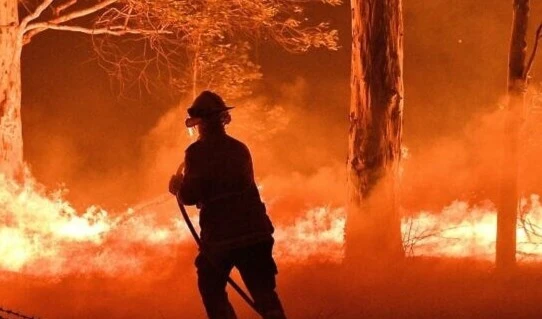 A firefighter in Australia hoses down trees to protect nearby homes from bush fires near the town of Nowra in the state of New South Wales. (AFP)