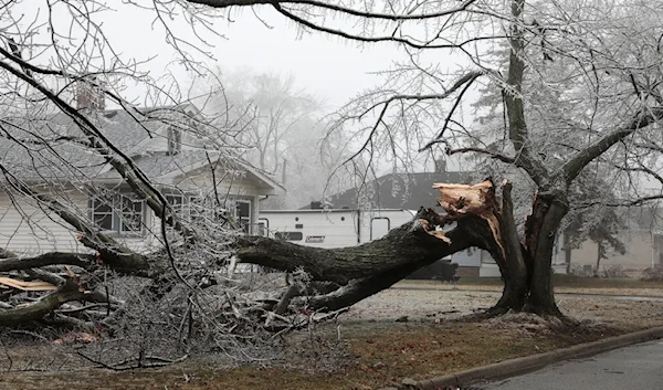 Significant ice accumulation on trees and power lines in Michigan led to widespread power outages across the state (Reuters).