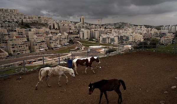 Israeli settlement in east Al-Quds, February 23, 2023 (AP).