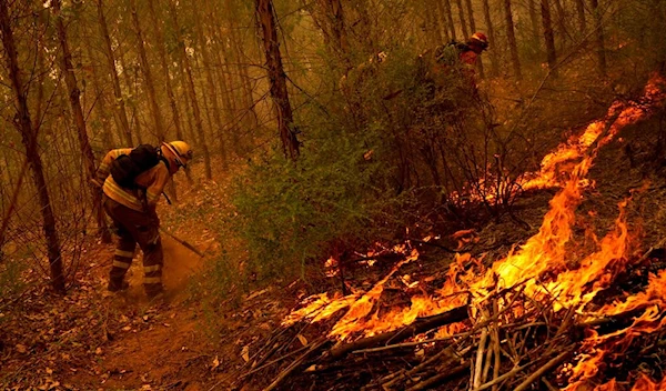 Firefighters work to extinguish flames alongside a road near Nacimiento, Chile, Saturday, Feb. 4, 2023 (AP Photo/Matias Delacroix)