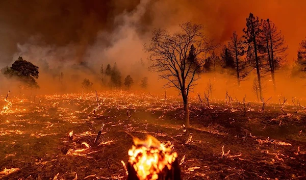 Burning embers of the Beckwourth Complex Fire, in Doyle, Calif., on July 9, 2021. (AFP)