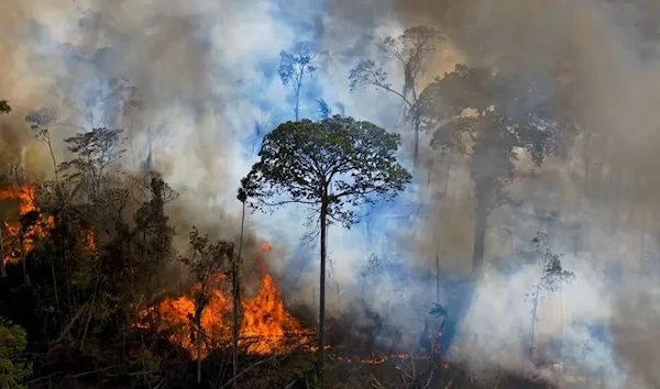 Smoke rises from an illegally lit fire in Amazon rainforest reserve, south of Novo Progresso in Para state, Brazil, on August 15, 2020. (AFP)