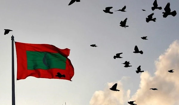 A Maldives national flag flutters as pigeons fly past during the morning in Male February 8, 2012. (Reuters)