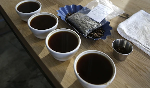 A row of brewed coffee is seen in Oakland, California, January 3, 2013 (AP Photo)