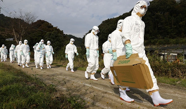 Officials in protective suits head to a poultry farm for a suspected bird flu case in Higashikagawa, western Japan, in this photo taken by Kyodo November 8, 2020. (Reuters)