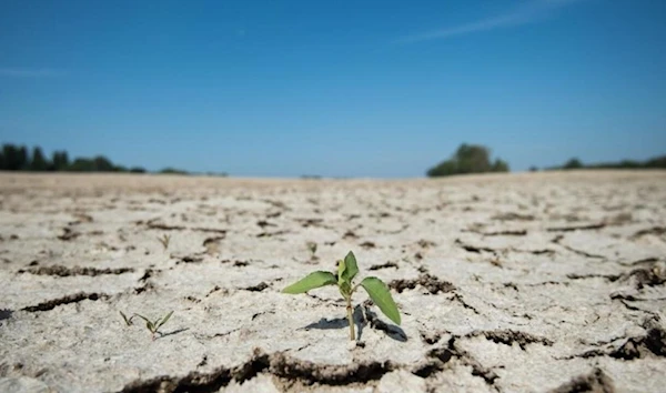 An image showing the severe drought in parts of the River Loire in France in 2019 (AFP)