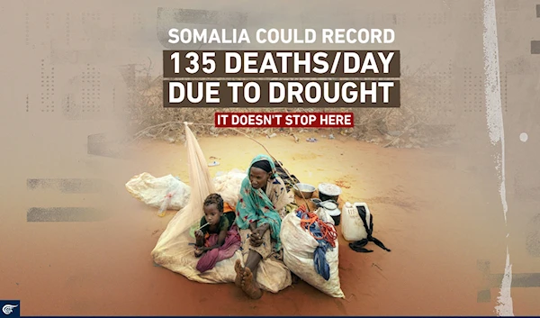 Somalia could record 135 deaths/day due to drought