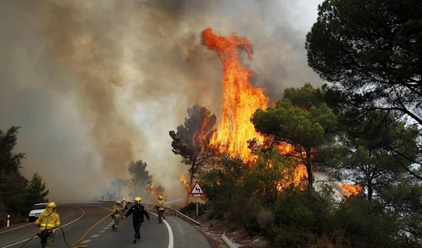 Firefighters work to control a raging forest fire as trees are engulfed in flames next to a road in Ojen, southern Spain, on Aug. 31. (AP)