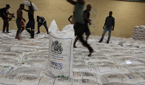 People collect bags of fertilizer in Lilongwe, Malawi, Monday March 6, 2023 (AP Photo/Gregory Gondwe)