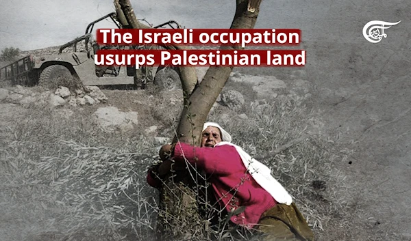 The Israeli occupation usurps Palestinian land