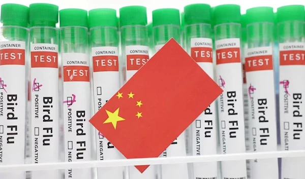 An illustration shows positive test tubes labelled "Bird Flu" covered by the flag of the People's Republic of China, 14 January 2023. (Reuters).