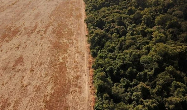 An aerial view shows deforestation near a forest on the border between Amazonia and Cerrado in Nova Xavantina, Mato Grosso state, Brazil July 28, 2021. (REUTERS)