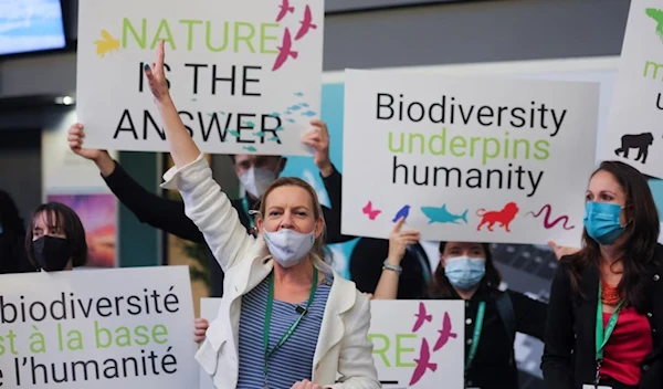 Members of WWF protest during COP15, the two-week UN Biodiversity summit, in Montreal, Quebec, Canada, Dec. 7, 2022 (Reuters)