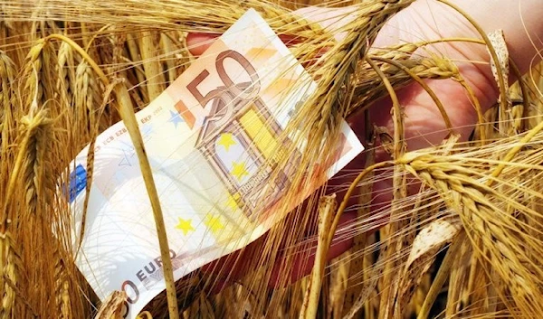 50 euro bill in a sprout of in a sprout of barley spikes, 2021 (shutterstock)