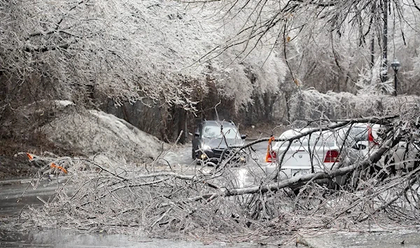 Fallen tree branches are shown on a street following an accumulation of ice rain in Montreal, April 5, 2023. (AP)