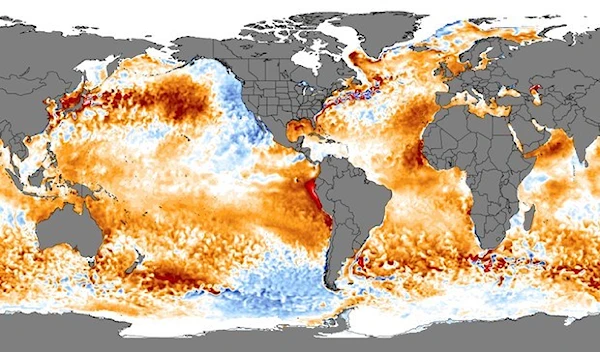 Global map showing data collected from the National Oceanic and Atmospheric Administration which displays areas of higher than average ocean temperatures. (University of Maine)