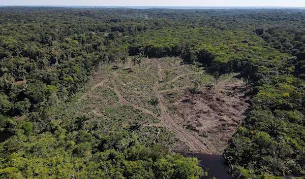 Amazon forest seen from above, July 2022. (Reuters)