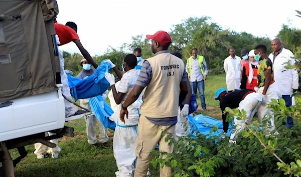 Search and rescue teams alongside homicide detectives from the Directrorate of Criminal Investigations move exhumed bodies into a truck in Shakahola forest, Kilifi, Kenya, 11 May 2023. (Reuters)