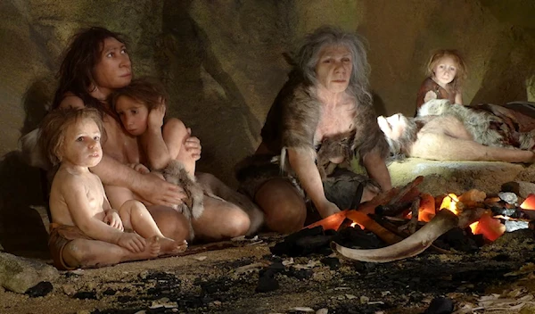 An exhibit shows the life of a neanderthal family in a cave in the new Neanderthal Museum in Croatia on February 25, 2010 (Reuters)