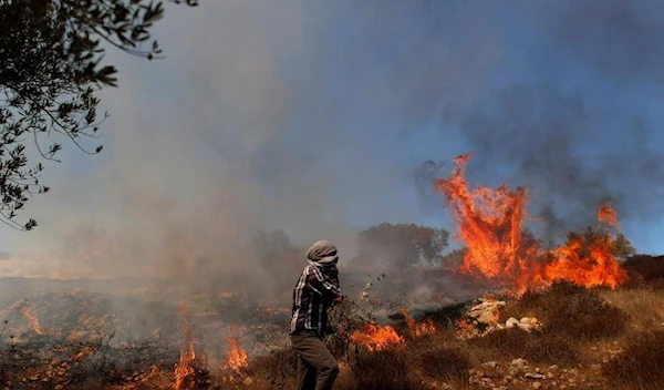 Grass burns in an olive field after Israeli forces fired tear gas canisters during a Palestinian protest against Jewish settlements, near Ramallah in the Israeli-occupied West Bank October 16, 2020. (Reuters)