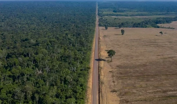 In this Nov. 25, 2019 file photo, highway BR-163 stretches between the Tapajos National Forest, left, and a soy field in Belterra, Para state, Brazil. (AP)