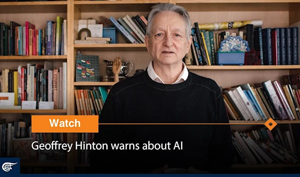 Geoffrey Hinton warns about AI